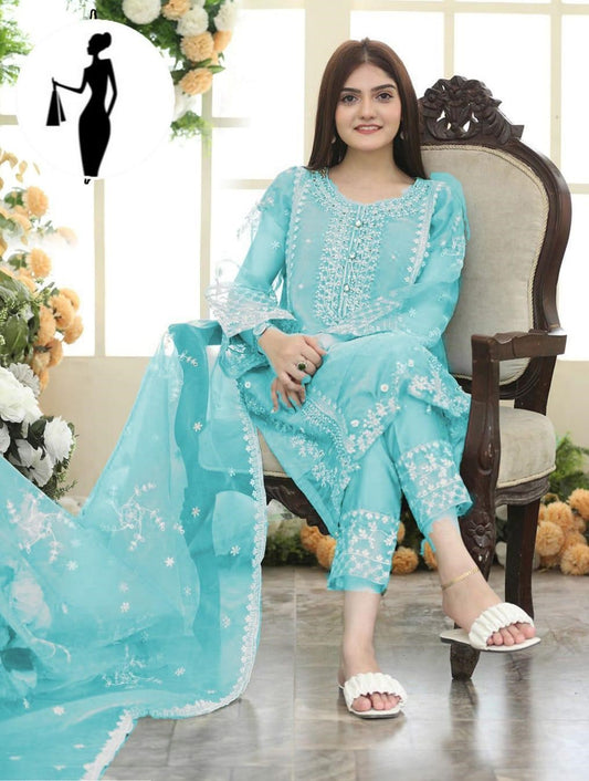 3pcs womens stitched embroidered suit